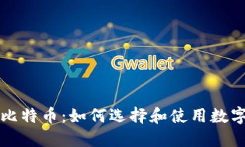 VV钱包与比特币：如何选择和使用数字货币钱包